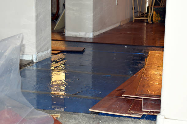 Professional Sewage Cleanup technician working in Gladstone, MO